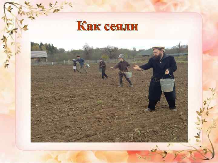 Как сеяли 