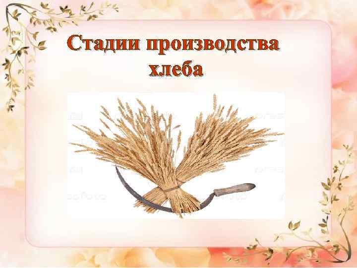 Стадии производства хлеба 