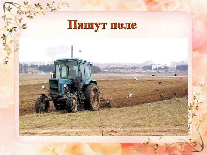 Пашут поле 