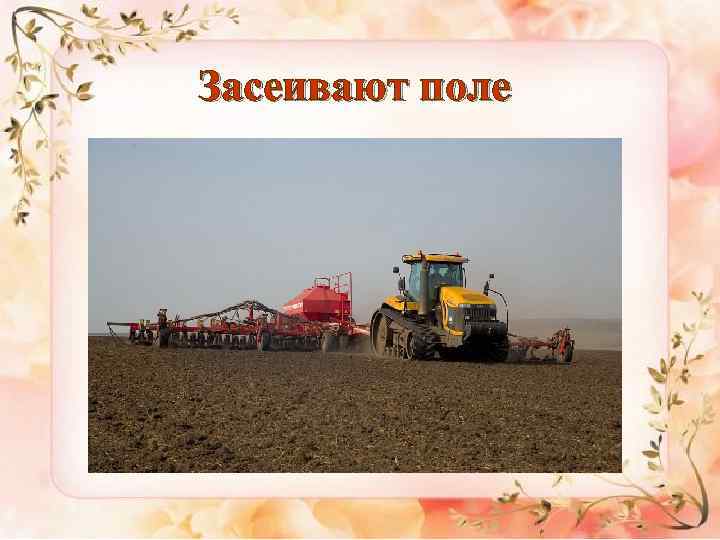 Засеивают поле 