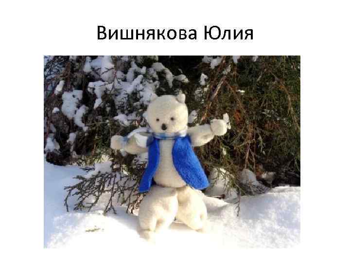 Вишнякова Юлия 