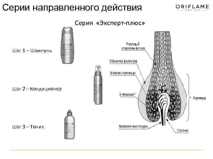 Серии направленного действия Серия «Эксперт плюс» Шаг 1 – Шампунь Шаг 2 – Кондиционер