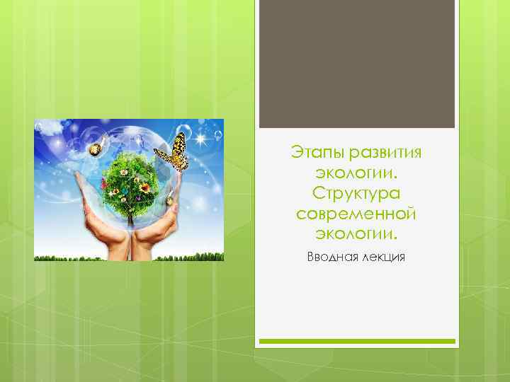 Этапы развития экологии. Структура современной экологии. Вводная лекция 