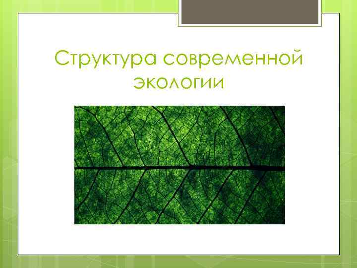 Структура современной экологии 