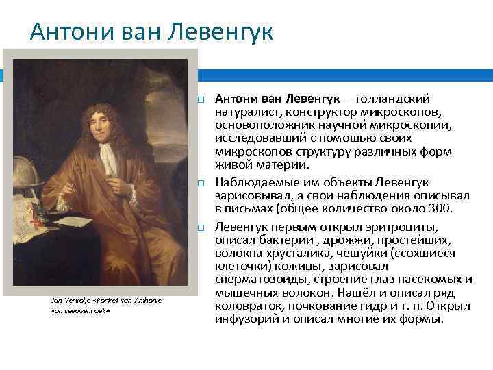 Антони ван Левенгук Jan Verkolje «Portret van Anthonie van Leeuwenhoek» Антони ван Левенгук— голландский