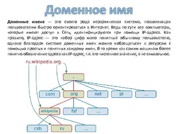 Доменное имя Доменные имена — это своего рода иерархическая система, позволяющая пользователям быстро ориентироваться