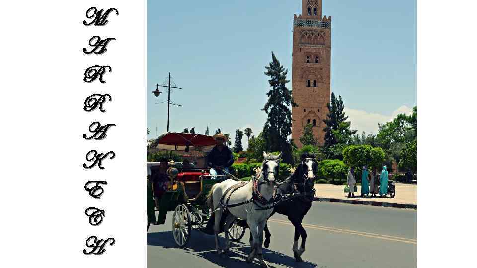 M A R R A K E C H 