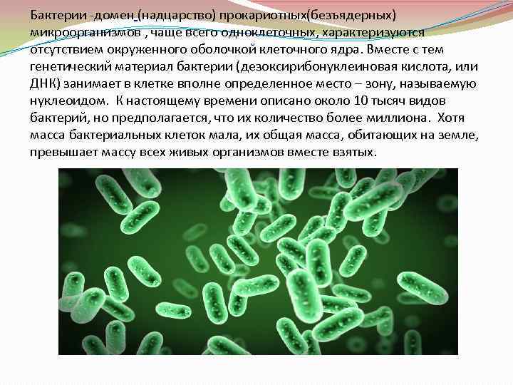 Бактерии -домен (надцарство) прокариотных(безъядерных) микроорганизмов , чаще всего одноклеточных, характеризуются отсутствием окруженного оболочкой клеточного