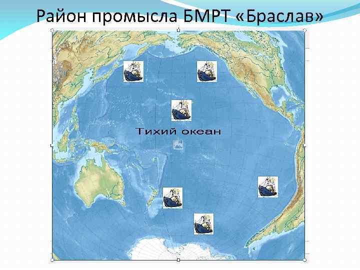 Район промысла БМРТ «Браслав» 