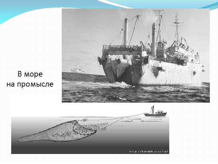 В море на промысле 
