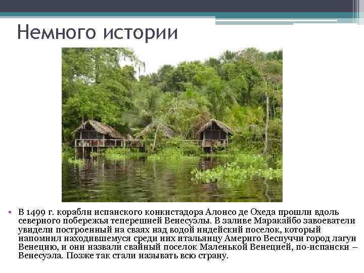 Немного истории • В 1499 г. корабли испанского конкистадора Алонсо де Охеда прошли вдоль