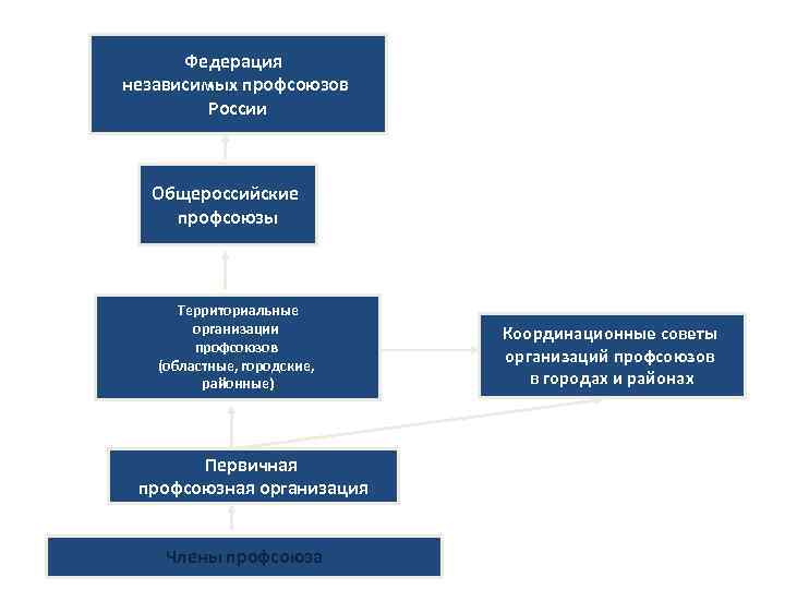 Схема профсоюзной организации структура первичной