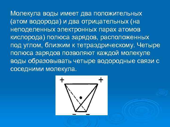 Молекула воды имеет два положительных (атом водорода) и два отрицательных (на неподеленных электронных парах