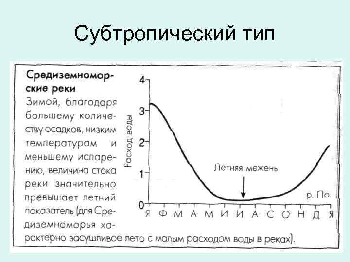 Субтропический тип 