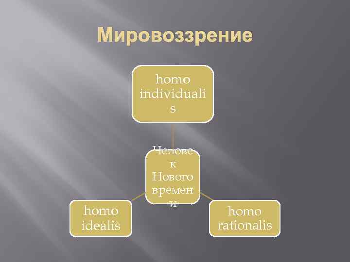 Мировоззрение homo individuali s homo idealis Челове к Нового времен и homo rationalis 