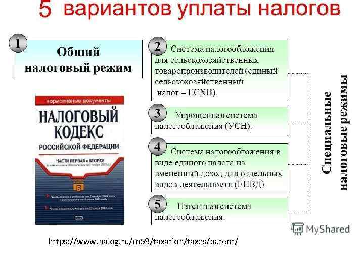 https: //www. nalog. ru/rn 59/taxation/taxes/patent/ 