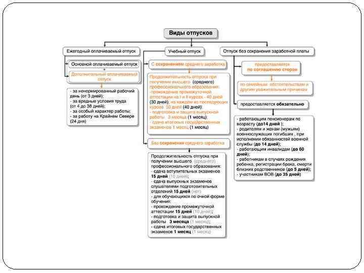 Виды отпусков схема