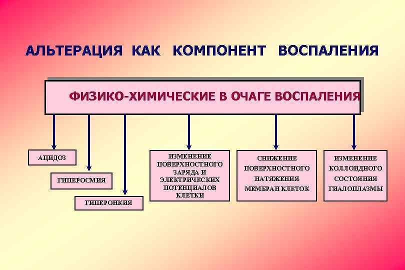 АЛЬТЕРАЦИЯ КАК КОМПОНЕНТ ВОСПАЛЕНИЯ ФИЗИКО-ХИМИЧЕСКИЕ В ОЧАГЕ ВОСПАЛЕНИЯ АЦИДОЗ ГИПЕРОСМИЯ ГИПЕРОНКИЯ ИЗМЕНЕНИЕ ПОВЕРХНОСТНОГО ЗАРЯДА