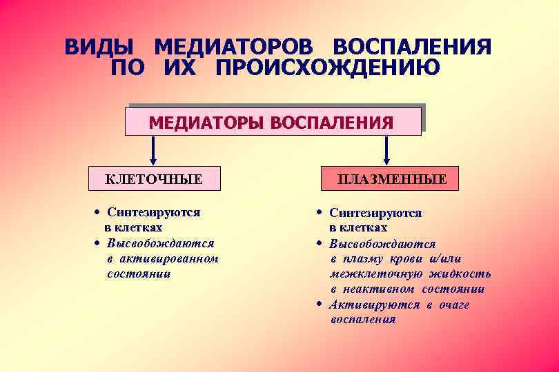 ВИДЫ МЕДИАТОРОВ ВОСПАЛЕНИЯ ПО ИХ ПРОИСХОЖДЕНИЮ МЕДИАТОРЫ ВОСПАЛЕНИЯ КЛЕТОЧНЫЕ · Синтезируются в клетках ·