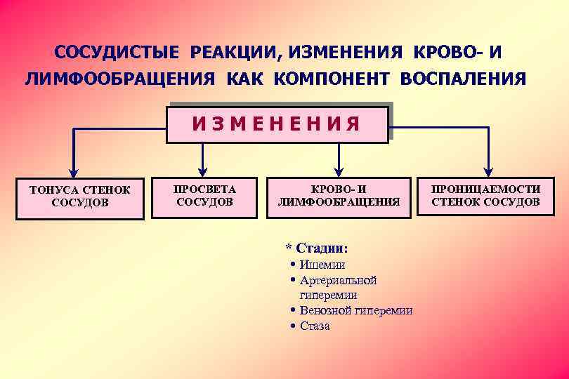 СОСУДИСТЫЕ РЕАКЦИИ, ИЗМЕНЕНИЯ КРОВО- И ЛИМФООБРАЩЕНИЯ КАК КОМПОНЕНТ ВОСПАЛЕНИЯ ИЗМЕНЕНИЯ ТОНУСА СТЕНОК СОСУДОВ ПРОСВЕТА