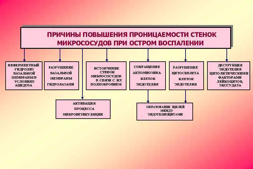 ПРИЧИНЫ ПОВЫШЕНИЯ ПРОНИЦАЕМОСТИ СТЕНОК МИКРОСОСУДОВ ПРИ ОСТРОМ ВОСПАЛЕНИИ НЕФЕРМЕНТНЫЙ ГИДРОЛИЗ БАЗАЛЬНОЙ МЕМБРАНЫ В УСЛОВИЯХ