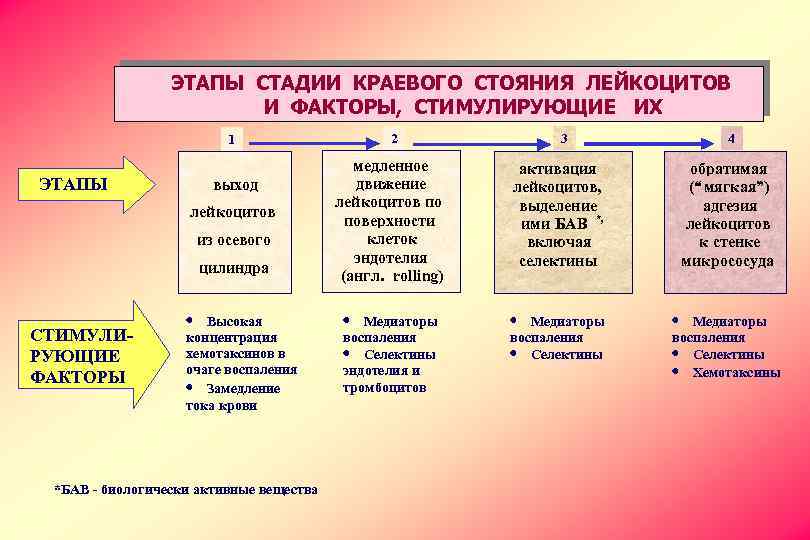 ЭТАПЫ СТАДИИ КРАЕВОГО СТОЯНИЯ ЛЕЙКОЦИТОВ И ФАКТОРЫ, СТИМУЛИРУЮЩИЕ ИХ 1 ЭТАПЫ выход лейкоцитов из