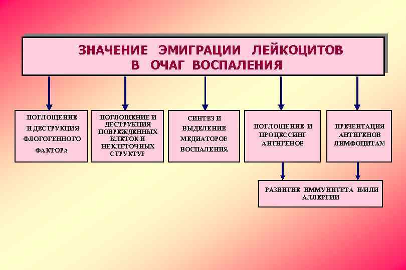 ЗНАЧЕНИЕ ЭМИГРАЦИИ ЛЕЙКОЦИТОВ В ОЧАГ ВОСПАЛЕНИЯ ПОГЛОЩЕНИЕ И ДЕСТРУКЦИЯ ФЛОГОГЕННОГО ФАКТОРА ПОГЛОЩЕНИЕ И ДЕСТРУКЦИЯ