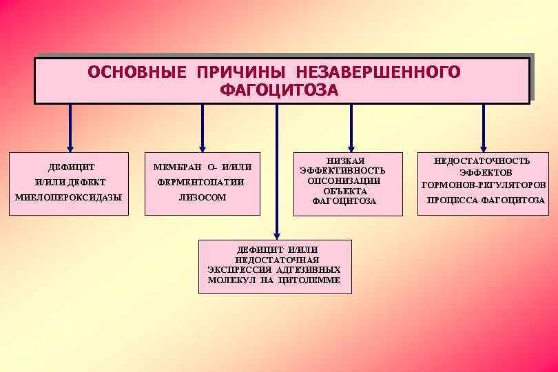 ОСНОВНЫЕ ПРИЧИНЫ НЕЗАВЕРШЕННОГО ФАГОЦИТОЗА ДЕФИЦИТ МЕМБРАН О- И/ИЛИ ДЕФЕКТ ФЕРМЕНТОПАТИИ МИЕЛОПЕРОКСИДАЗЫ ЛИЗОСОМ НИЗКАЯ ЭФФЕКТИВНОСТЬ