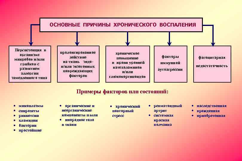 ОСНОВНЫЕ ПРИЧИНЫ ХРОНИЧЕСКОГО ВОСПАЛЕНИЯ Персистенция в организме микробов и/или грибков с развитием аллергии замедленного
