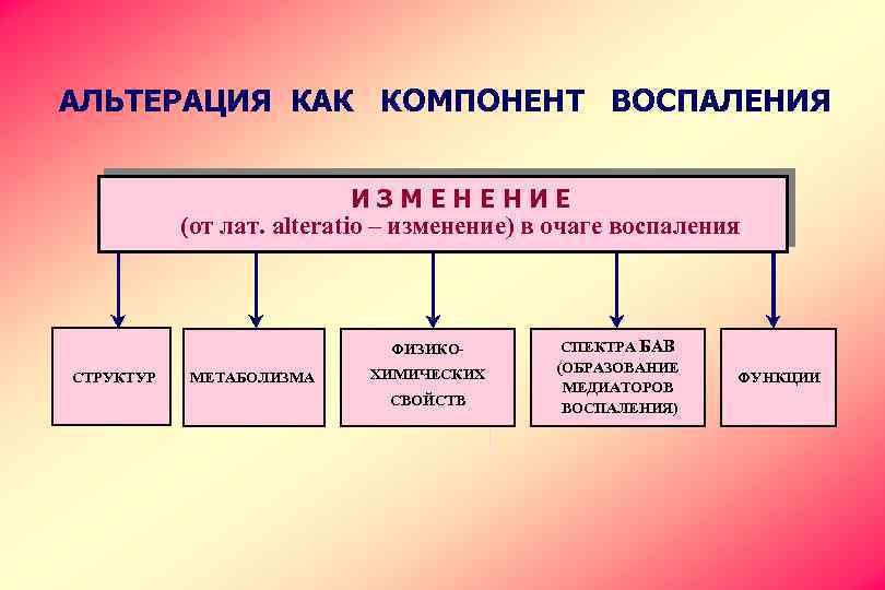 АЛЬТЕРАЦИЯ КАК КОМПОНЕНТ ВОСПАЛЕНИЯ ИЗМЕНЕНИЕ (от лат. alteratio – изменение) в очаге воспаления ФИЗИКОСТРУКТУР