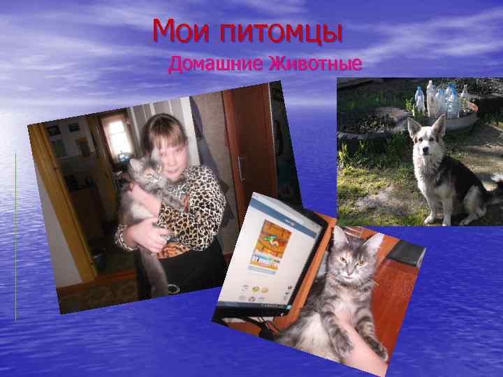 Мои питомцы Домашние Животные 