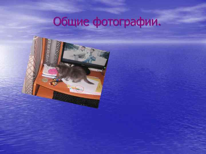 Общие фотографии. 