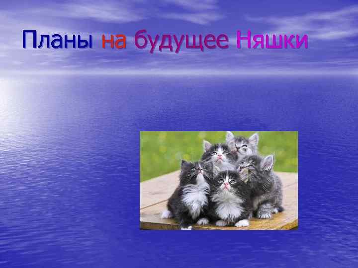 Планы на будущее Няшки 