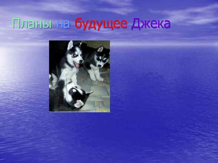 Планы на будущее Джека 