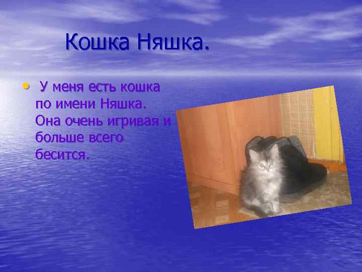 Кошка Няшка. • У меня есть кошка по имени Няшка. Она очень игривая и