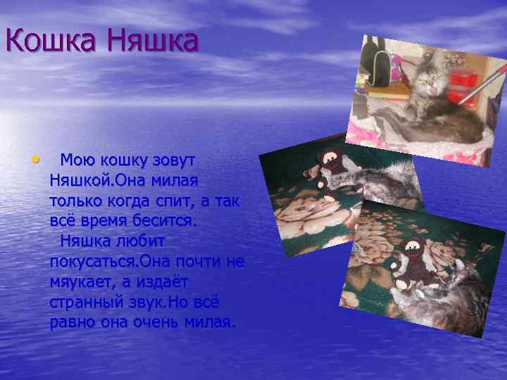 Кошка Няшка • Мою кошку зовут Няшкой. Она милая только когда спит, а так