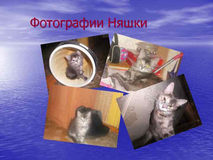 Фотографии Няшки 