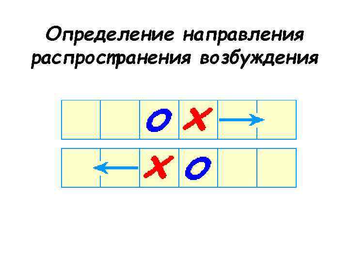 Определение направления распространения возбуждения 