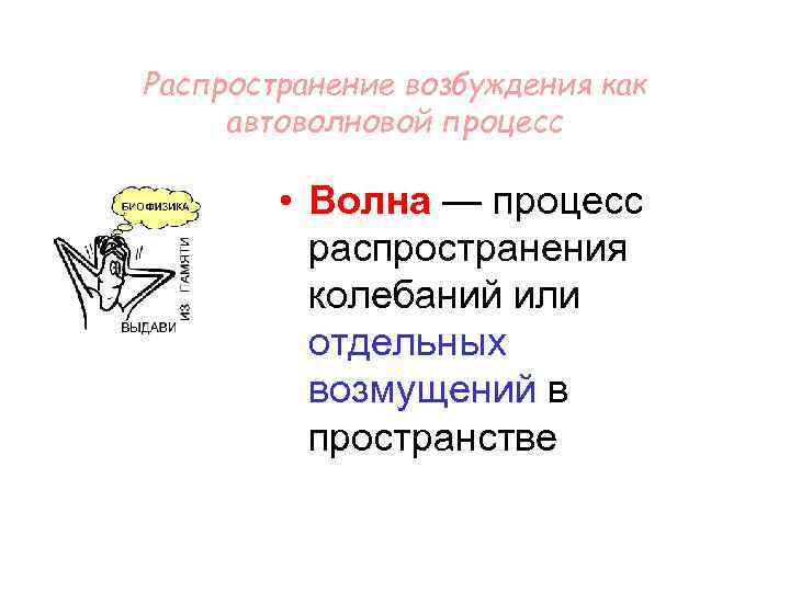 Распространение возбуждения как автоволновой процесс • Волна — процесс распространения колебаний или отдельных возмущений