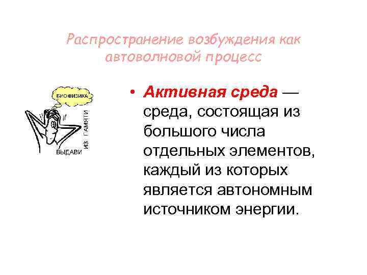 Распространение возбуждения как автоволновой процесс • Активная среда — среда, состоящая из большого числа