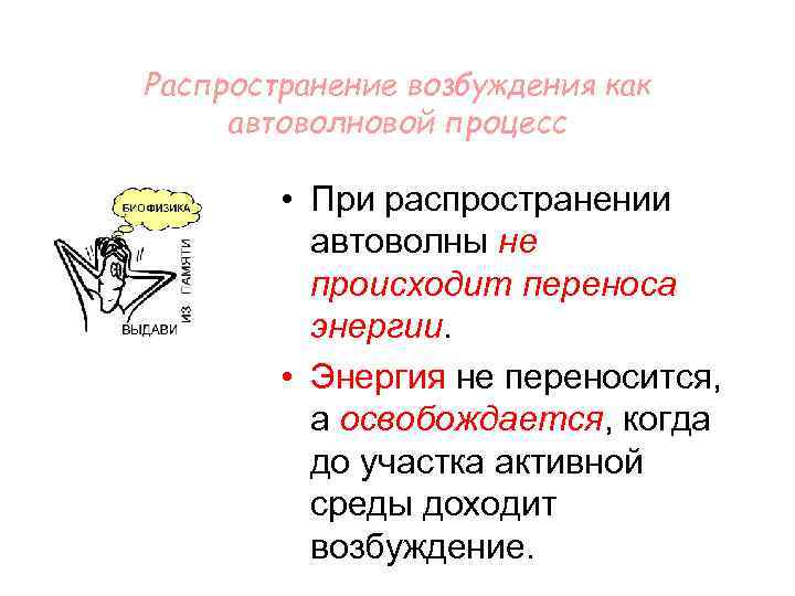 Распространение возбуждения как автоволновой процесс • При распространении автоволны не происходит переноса энергии. •