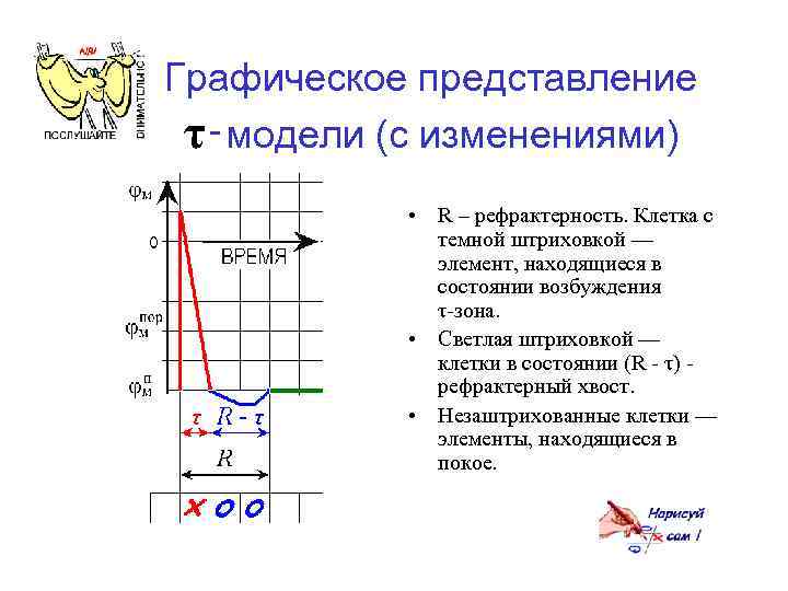 Графическое представление τ‑модели (с изменениями) • R – рефрактерность. Клетка с темной штриховкой —