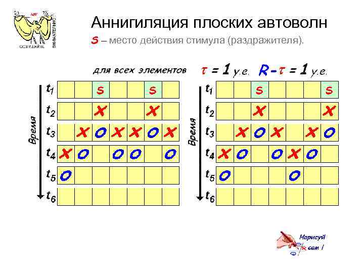 Аннигиляция плоских автоволн S – место действия стимула (раздражителя). 