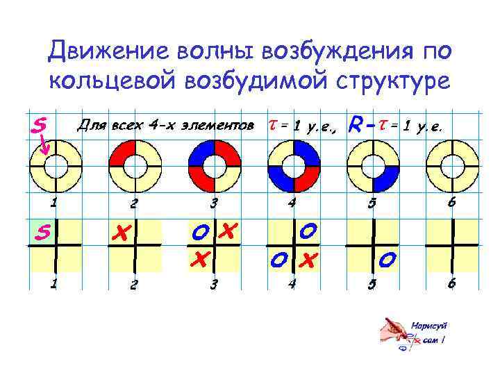 Движение волны возбуждения по кольцевой возбудимой структуре 