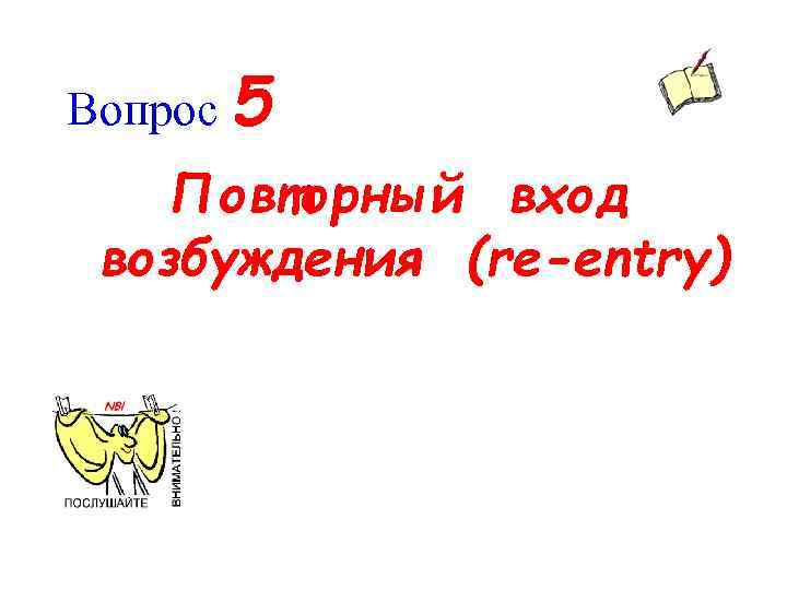 Вопрос 5 Повторный вход возбуждения (re-entry) 