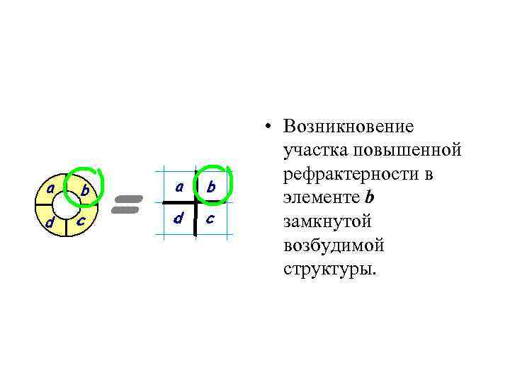  • Возникновение участка повышенной рефрактерности в элементе b замкнутой возбудимой структуры. 