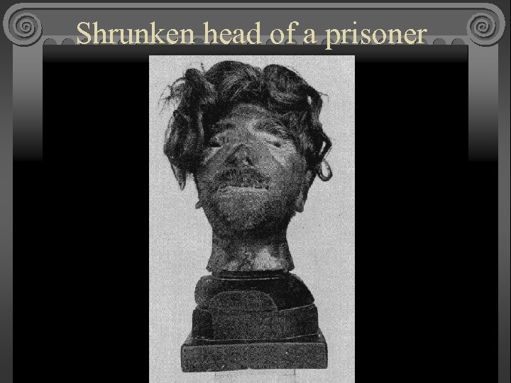 Shrunken head of a prisoner 