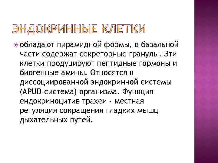  обладают пирамидной формы, в базальной части содержат секреторные гранулы. Эти клетки продуцируют пептидные