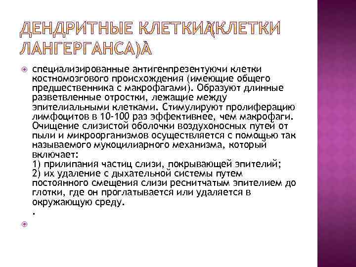  специализированные антигенпрезентуючи клетки костномозгового происхождения (имеющие общего предшественника с макрофагами). Образуют длинные разветвленные