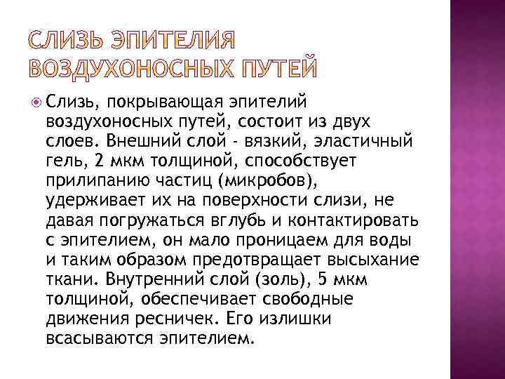  Слизь, покрывающая эпителий воздухоносных путей, состоит из двух слоев. Внешний слой - вязкий,